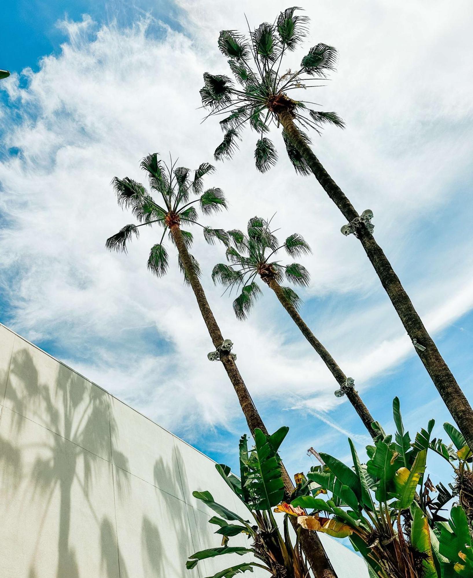 The Beverly Hilton Hotel 4*